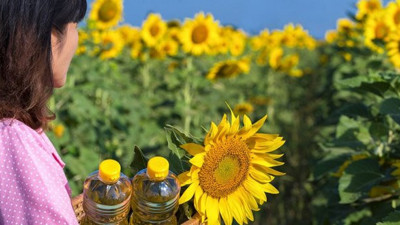 Yandı vatandaş ağlayanı yok! Ayçiçek yağına ne kadar zam geldi biliyor musunuz?