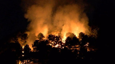 Aydos Ormanları'nda yangın!