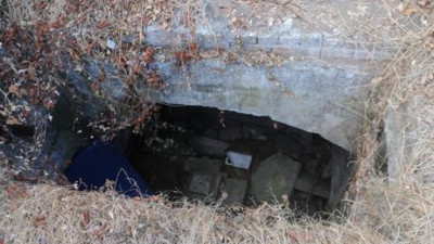 Define avcıları profesörü çıldırttı! Edirne bu olayı konuşuyor