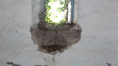 Dökülen sıvanın altından çıktı. Görenlerin dili tutuldu