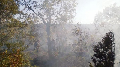 Domaniç'teki orman yangını söndürüldü