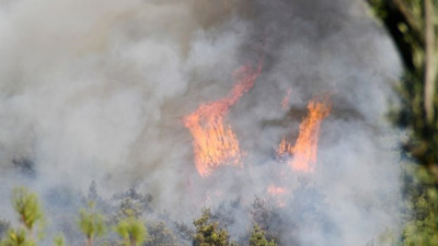 Manisa'da orman yangını! 8 saat sonra söndürülebildi