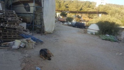 Kafatasını 'çiko' bulmuştu! İşçiler şaşkınlığını atamadı! Flaş gelişme...