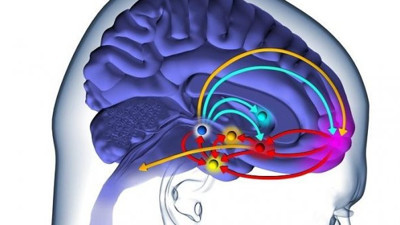 Beyin pillerinin ömrü uzadı