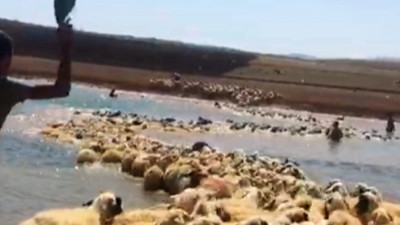 Mucize kurtuluş. Ekmek parasına böyle sahip çıktı