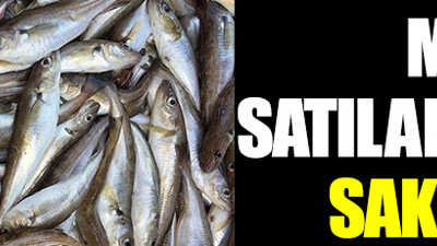 Antalya’da mezgit diye zehirli balon balığı satıldığı iddia edildi. Ölüsünü yiyen hayvanları bile zehirliyor