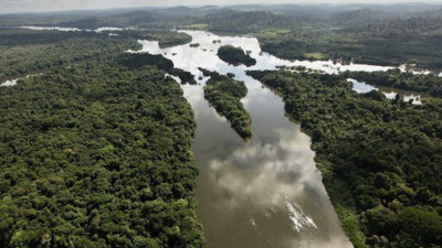 Amazon Ormanları'nı bekleyen büyük tehlike. Yüzlerce canlı yok olmanın eşiğinde