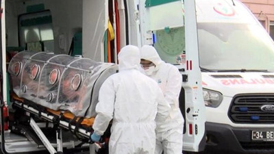 İşte koronayı yayan hayvan. İngiltere'de yapılan son araştırma şok etti