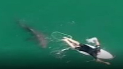 Ayağındaki o şey sörfçüyü kurtardı. Köpek balığı korkup böyle kaçtı