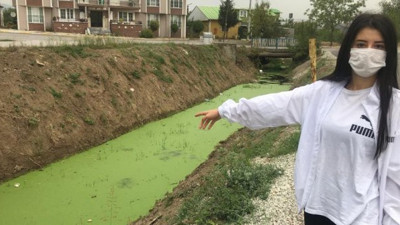 Bu dere yeşil dere! Bakan bir daha bakıyor