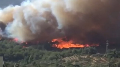 Hatay'da orman alev topuna döndü