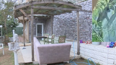 Sarıyer’de büyük vahşet. Sesleri duyan komşusu ortaya çıkardı. Sahiplendikleri köpeklere işkence yapmışlar