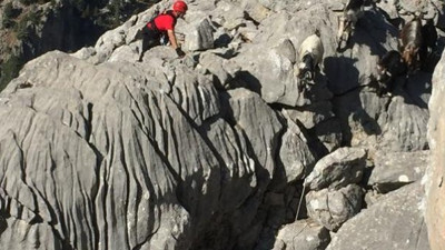 Jandarmadan keçi operasyonu