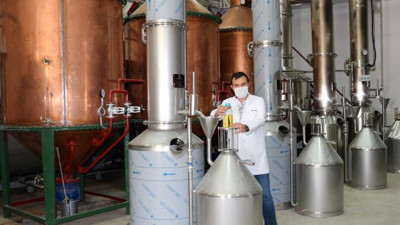 Gül yağının kilosunda büyük düşüş