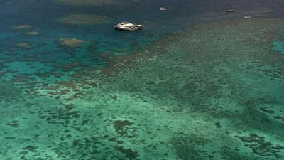 Araştırmacılar ‘korkuyoruz’ dedi. Beklenen son artık kapımızda, yüzde 90’ı tehlikede