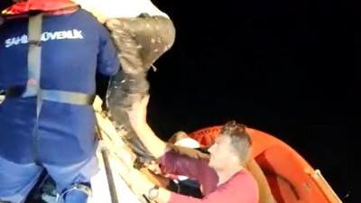 Gemlik'te yaşama tutunuş