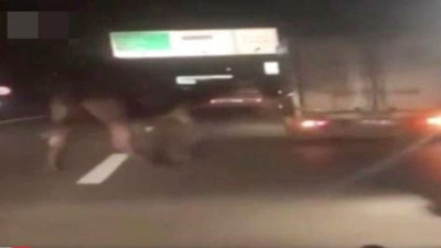 Bu eziyeti yapanlar da bir oy atıyor biz de bir oy atıyoruz. Helal olsun Aysun Kayacı’ya