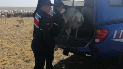 Besicilerin korkulu rüyası hırsızlara suçüstü