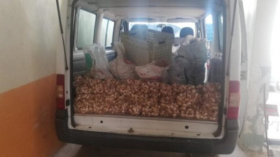 Sarımsağın 315 kilosunu 3 bin 600 liraya sattılar