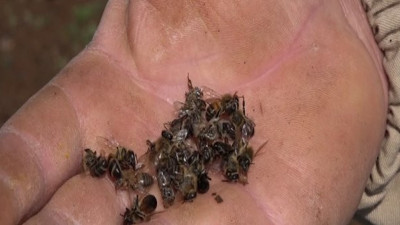 Tehlike artık Türkiye’de. Her şey daha kötüye gidiyor. Ürküten bilanço açıklandı