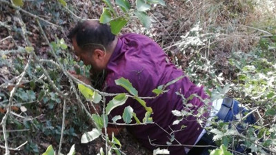 Ormanlar kralını jandarma yakaladı