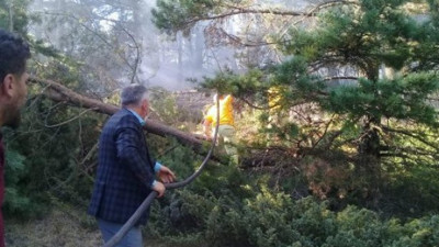 Ordu Mesudiye'de ormanlık alanda yangın