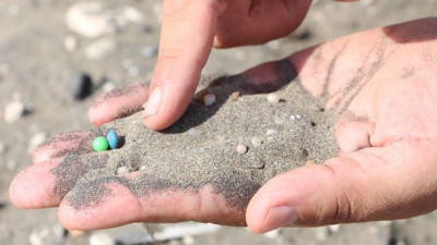Adana sahillerinde kanser kol geziyor. 1 avuç kumda 200 tane var. Doç. Dr. Sedat Gündoğdu'dan toksit zehirli bomba uyarısı