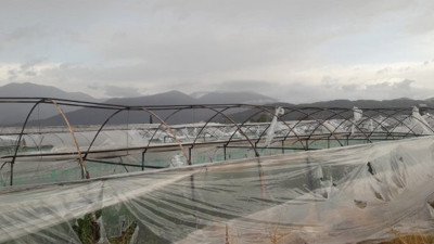 Antalya Kumluca tabiata teslim. Aynı anda üçü bir yerde