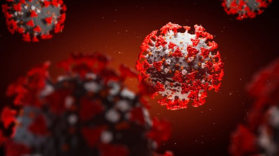 Bu kan grubu koronaya resmen kafa tutuyor. Son araştırma ile de kesinleşti