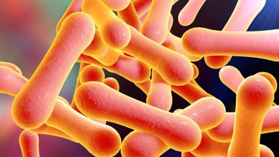 Yemen'de difteri sorunu devam ediyor