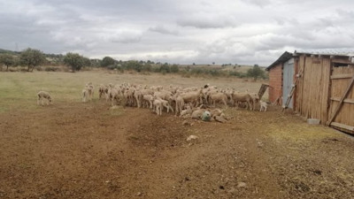 O şehirde 15 köy karantinada. Bu kez korona vurmadı
