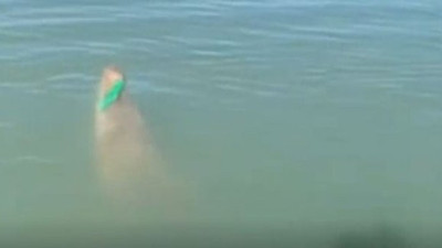 Suyun içinden bir canavar çıktı. Balıkçılar tuttuklarına inanamadı