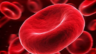 Altın kan diye biliniyor. Aktarıldığı kişiye şifa veriyor ancak önemli bir sorun var