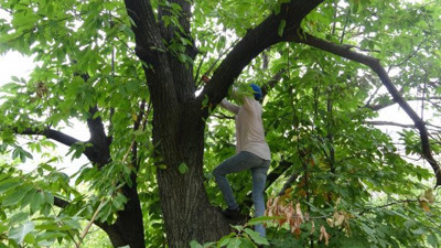Mesleğini duyanlar şaşırıp kaldı. Günlük 400 lira kazanıyor.