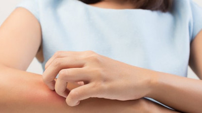 Ortak alanlarda büyük risk. Kıl ve deri üzerinden bulaşıyor