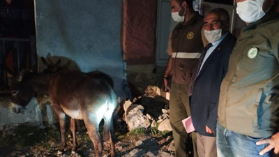 İşkence gören eşek yediemin olarak muhtara teslim. Eziyet edenlere para cezası