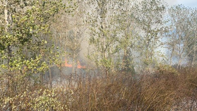 Samsun’da orman yangını