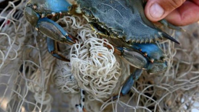 Ana vatanı Amerika, Türkiye'de onun için kuyruğa giriyorlar. Cezası 5 bin TL