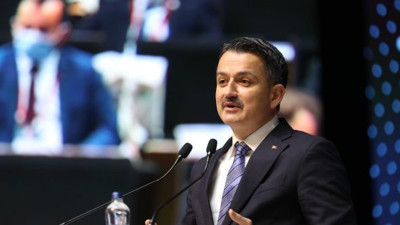 Bakan Pakdemirli, Mersin, Adana ve Hatay'daki yangınlarda son durumu açıkladı