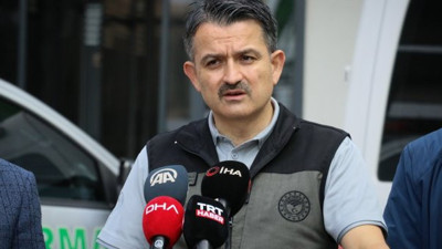 Bakan Pakdemirli'den Hatay yangını açıklaması