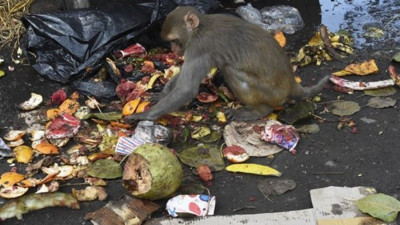 Aç kalınca şehri bastılar, hükümet ‘vurun’ dedi