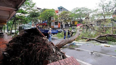 Malove Tayfunu 13 can aldı