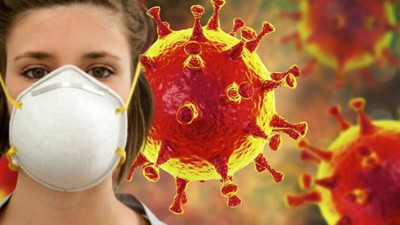 Bilim insanları eşeklerde Toxoplasma gondii ve Neospora parazitlerini keşfetti. Koronadan sonra bu da başımıza bela olacak. Bilim insanları çözüm bulmak için alarma geçti