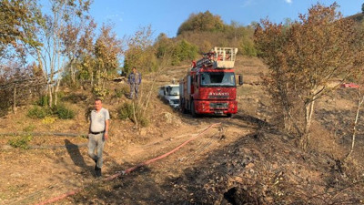 Ordu'daki orman yangını söndürüldü