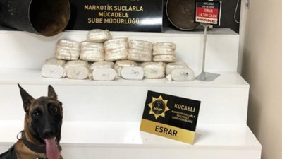 Kocaeli'nde bagaja giren köpek esrarı böyle buldu