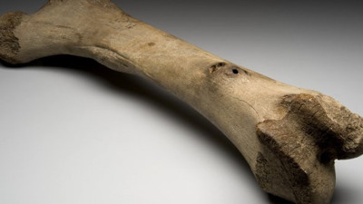 Cezayir'den kan donduran insan kemiği açıklaması