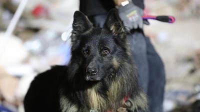 İzmir'de arama çalışmalarına katılan ünlü dağcı Murat Ceylan enkaz altında kaç kişinin ses verdiğini açıkladı. Köpeğiyle tek tek işaretledi