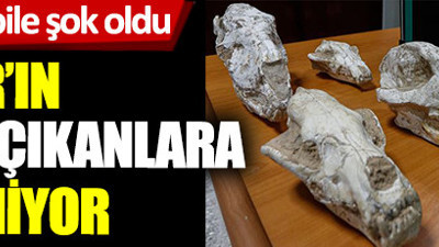 Adnan Oktar’ın villasından çıkanlara paha biçilemiyor. Değerine uzmanlar bile şok oldu