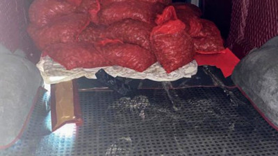 Midye avcısına rekor ceza