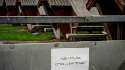 Koronada bütün aşı umutlarını unutun bu hayvan her şeyi çöpe atacak. 17 milyon tanesi öldürülecek